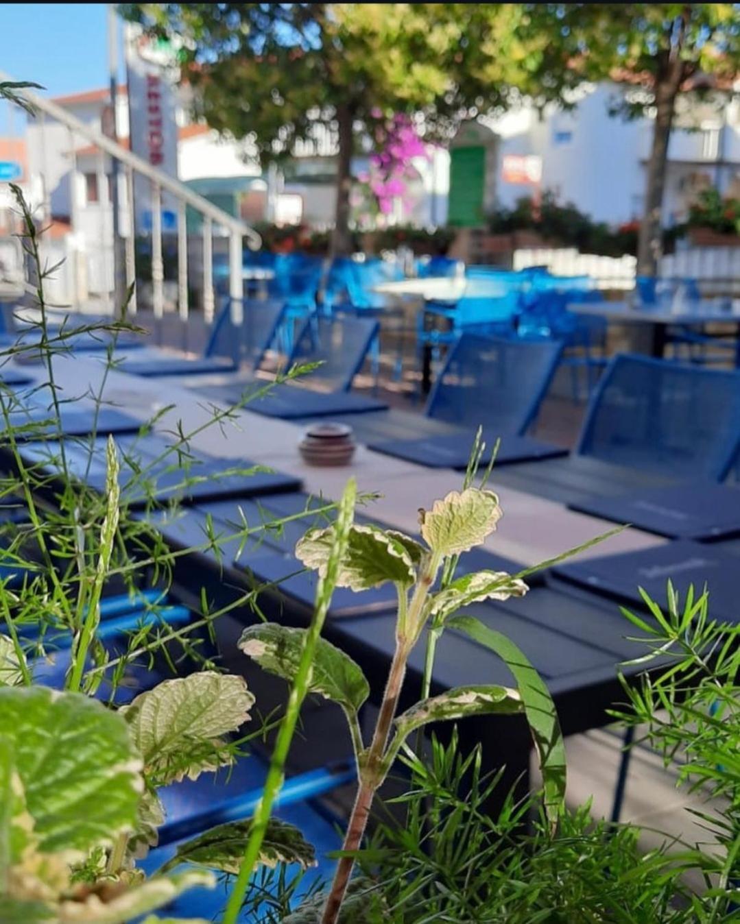 Apartments Ars Vivendi Τρογκίρ Εξωτερικό φωτογραφία